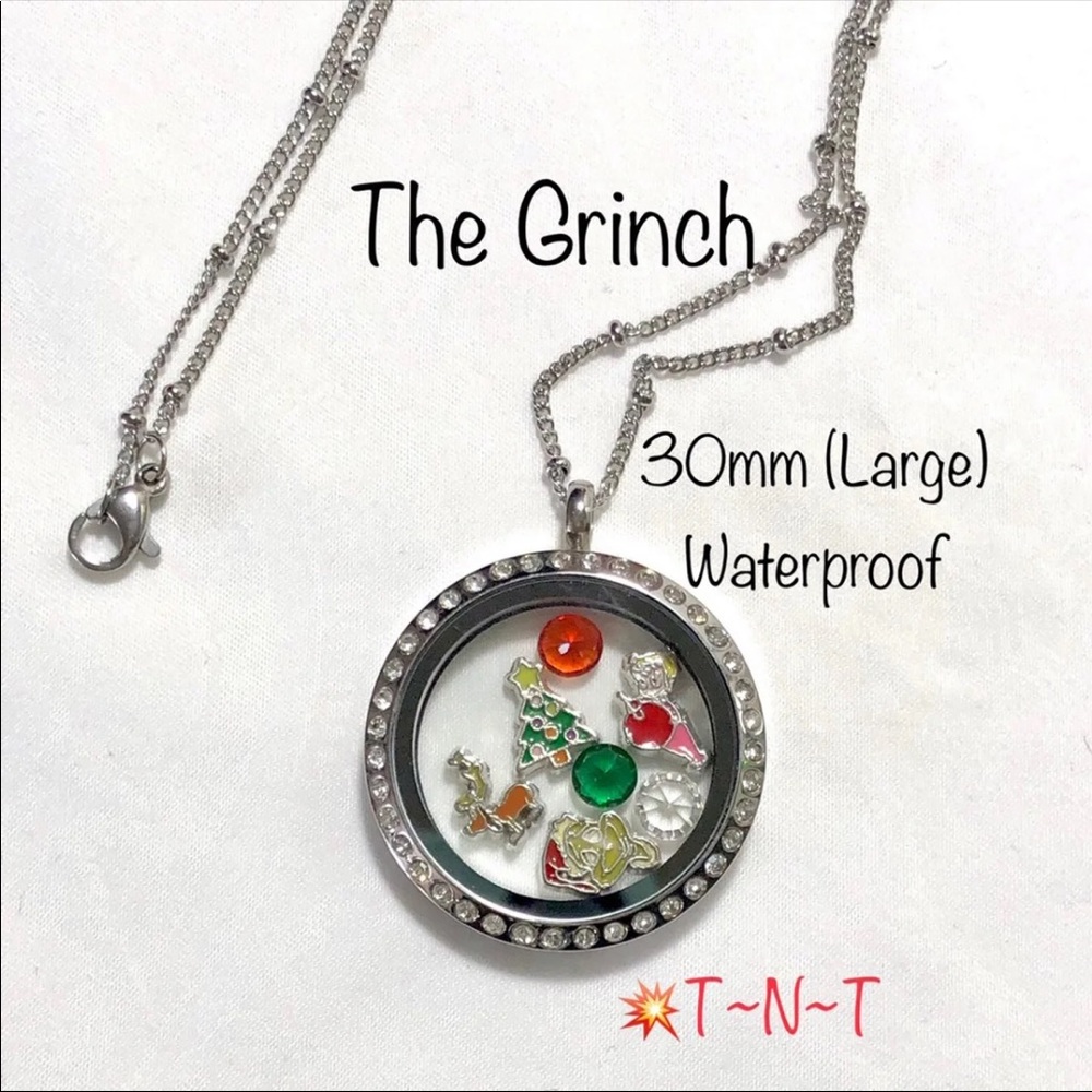 The Grinch Themed Waterproof Locket